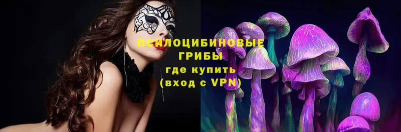 купить закладку  Новозыбков  Псилоцибиновые грибы MAGIC MUSHROOMS 