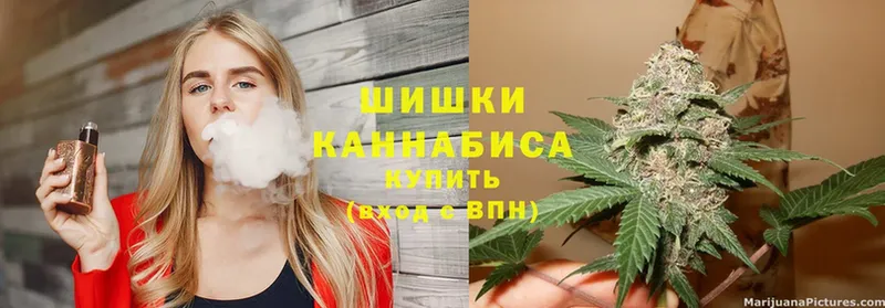 МЕГА зеркало  Новозыбков  Бошки марихуана LSD WEED 